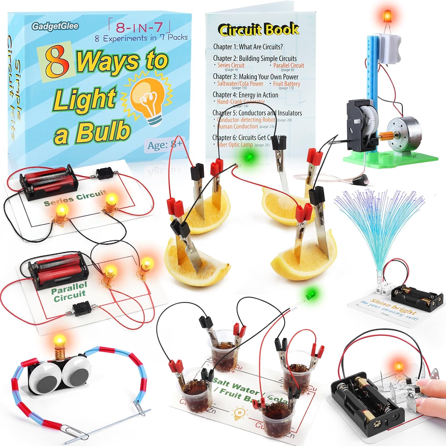 STEM Electric Circuit Kit, Electricity Science Project Light Bulb Experiments for Kids Teens, Electrical Engineering Kits Age 8-12 12-14, Fruit Energy Projects Circuits Experiment