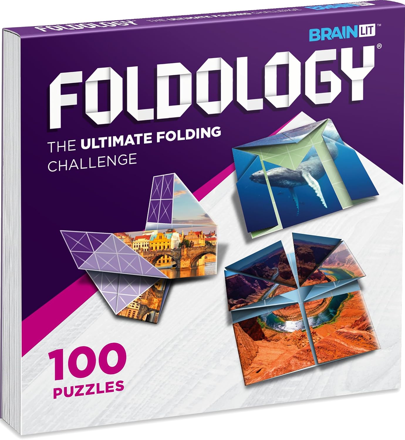 FOLDOLOGY – The Origami Puzzle Game! Brain Teasers for Tweens, Teens & Adults | Travel Game, STEM Toy | Fold the Paper, Complete the Picture | 100 Puzzles | Gift for Ages 10+
