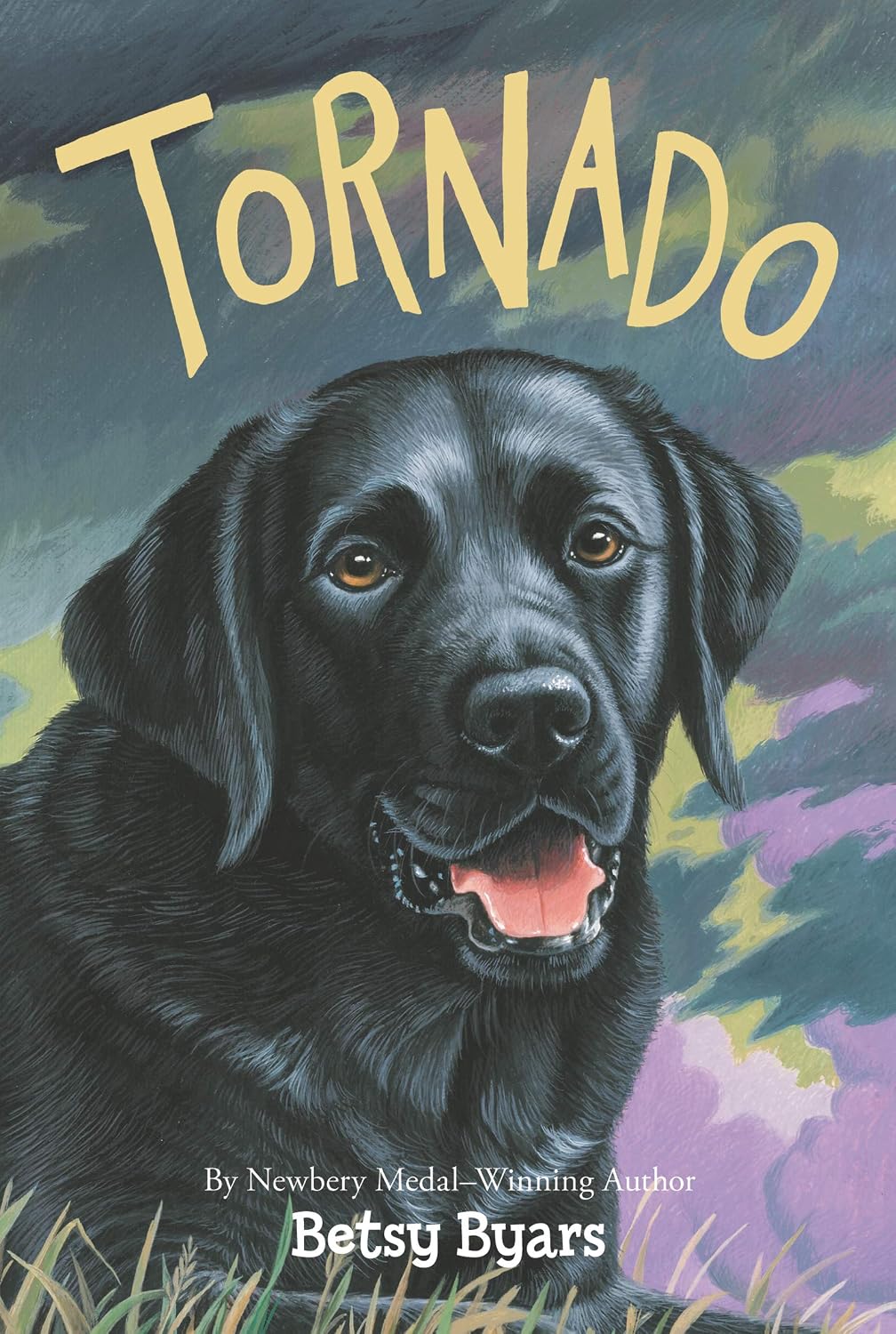 Tornado: A Classic Children’s Chapter Book of Adventure and Canine Friendship for Children (Ages 6–10) (Trophy Chapter Books (Paperback))